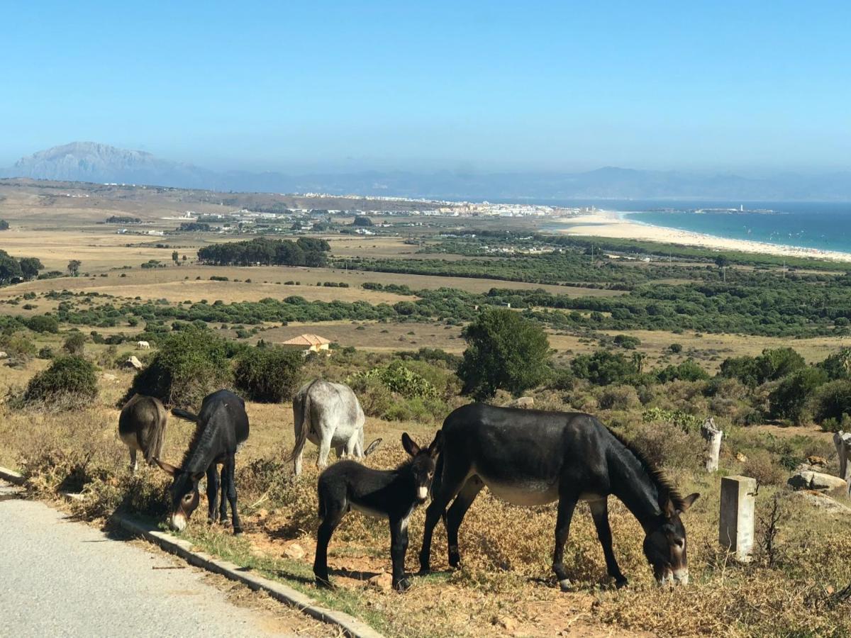 El Estrecho Lejlighed Tarifa Eksteriør billede